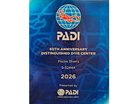 Padi 2026 Padi 2026
